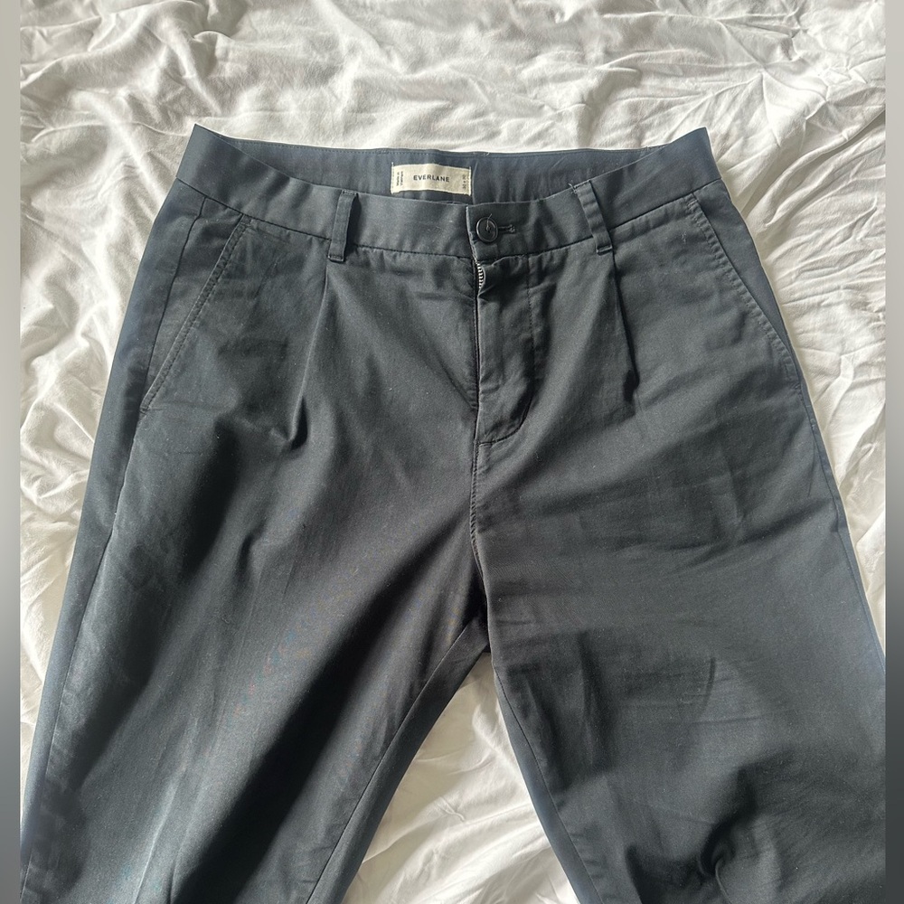 Everlane Pleated Air Chino